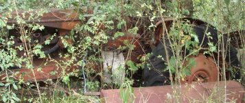 304132-Unknown.jpg