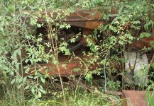 304134-Unknown2.jpg