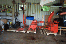 304222-dollies-web.gif