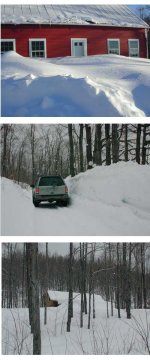 35-87063-winter.jpg
