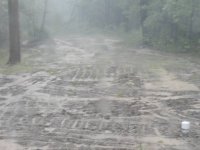 6-155064-rainharder.jpg