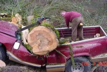 34-206762-fun-treetruck.jpg