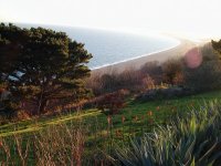 1-88927-Coast.JPG