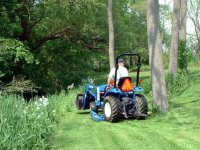 35-155652-mowing6.jpg