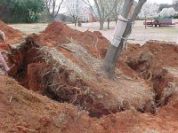 395609-OakTipping.jpg