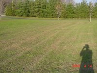 255258-turf trouble 2.jpg