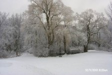 8-89473-ResizeofP0001407.JPG