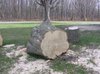 347000-big log.jpg