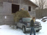 haytruck.jpg