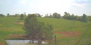 roosterfarmfrontpond70500.JPG
