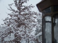 100_2622.jpg