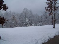 100_2628.jpg