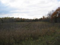 IMG_0035.jpg