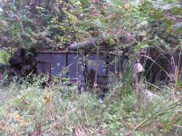 Sept.27.2010 003.jpg