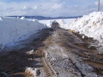 snow 4-7-08 002.jpg
