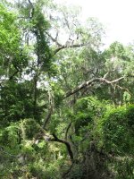 IMG_5724.jpg