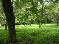 DSCN5118.JPG