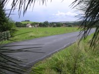 DSCN5124.JPG