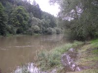 DSCN5142.JPG