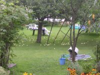 DSCN5138.JPG