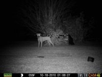 10-17-10Trap 020 (Large).jpg