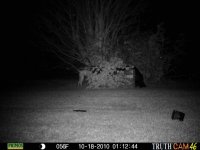 10-17-10Trap 030 (Large).jpg