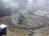 Harley indoors.jpg