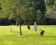 caden running with dogs.jpg