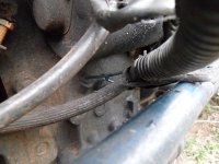 20100918 158 2.jpg