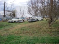Edsel Collection - Anderson.JPG