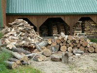 2010%20wood%20cutting%20016.jpg