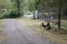 Misc_026.jpg