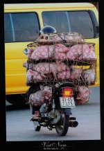 hog-heaven.jpg