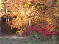 100_3225.jpg