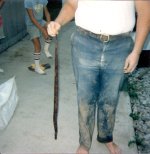 scan0001.jpg