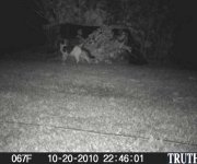 10-20-10Trap 001 (Large).jpg
