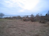 IMG_3750.jpg
