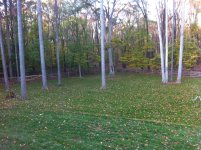 IMG_0022.jpg