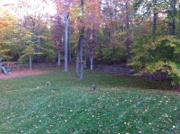 IMG_0024.jpg