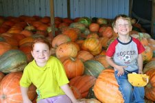 abby garret and pumpkins 1.jpg