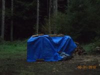 10-21-10 001.JPG