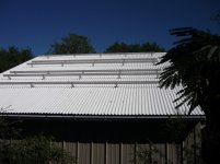 P1000499.jpg