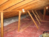 IMG_4386.JPG