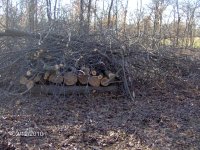 HPIM0909 - Copy.JPG