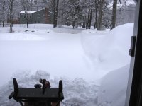 mar01 009.jpg