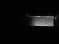 IMG_7674.jpg