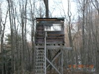 Main Cabin.jpg