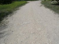 road 006.jpg