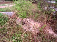 Culvert-03.JPG