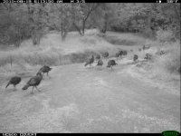 8.19.10 TURK13.JPG
